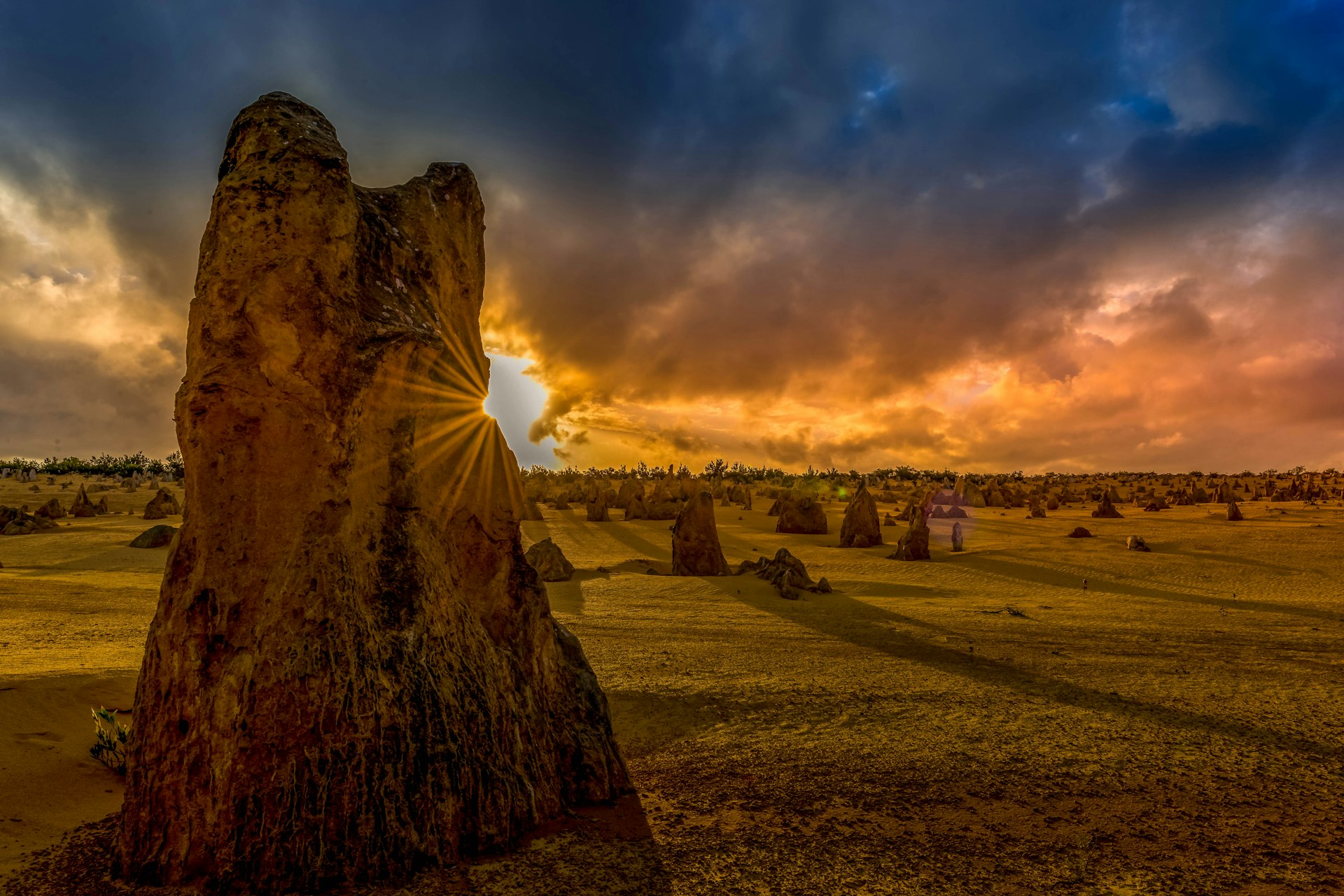 The Pinnacles Desert, Western Australia
